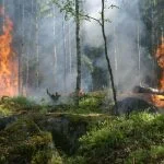 Pemprov dan Damkar Kalimantan Tengah bersinergi antisipasi karhutla (NET)