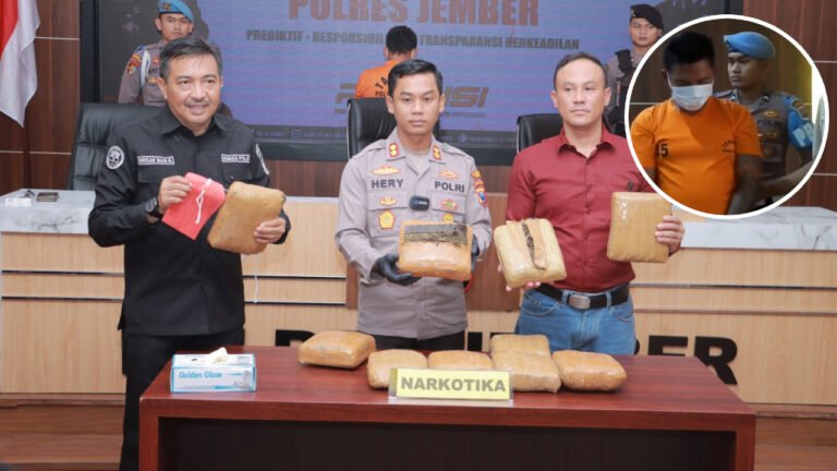 Kurir Ganja Jaringan Medan Bali Diringkus Polres Jember