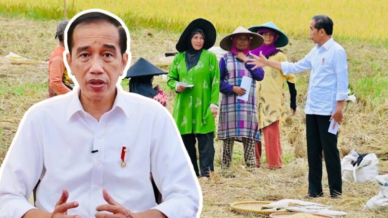 Demi Data Pertanian yang Akurat, Inilah yang Dilakukan Presiden Jokowi