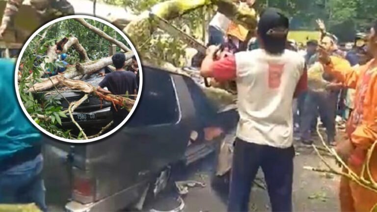 Innalillahi..... Akibat Angin Kencang Mobil Berisi 1 Keluarga Tertimpa 2 Pohon Besar