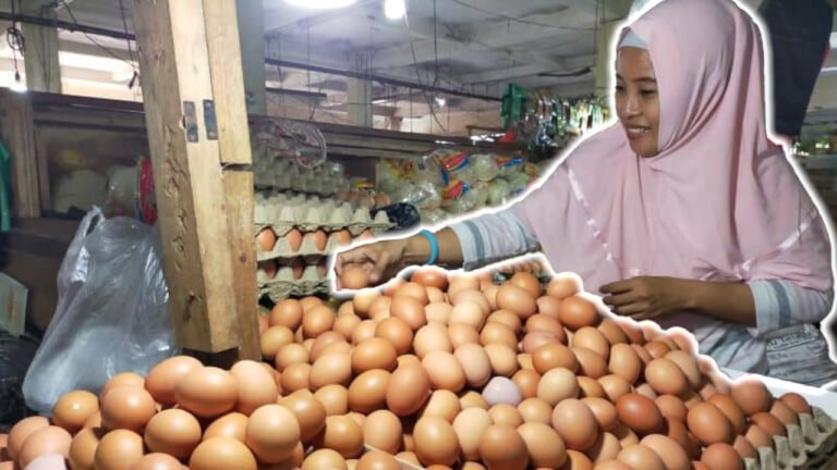 Menggelinding Naik, Harga Telur Ayam Tembus 34 Ribu Rupiah!