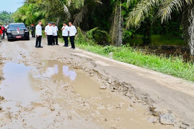 Perbandingan Panjang Jalan Pembangunan SBY dan Jokowi, Ini Komentar Stafsus Sri Mulyani