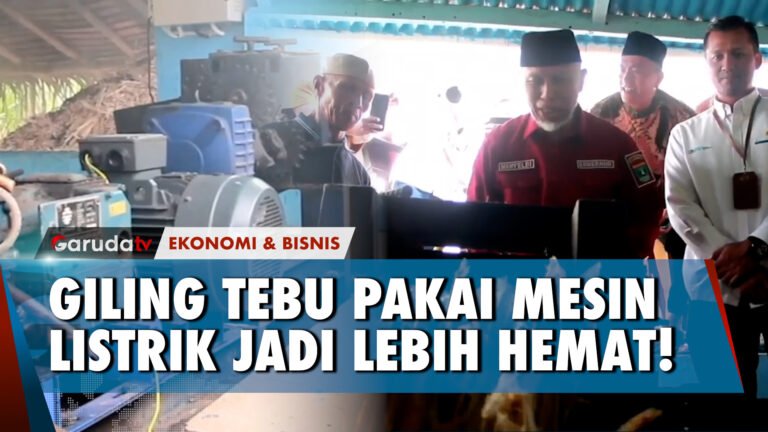 Program Electrifying Agriculture yang Digagas PLN Mulai Dirasakan Hasilnya