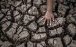 BNPB: Sebagian Wilayah di Jawa Tengah Mulai Dilanda Kekeringan