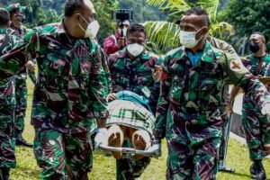 TNI Evakuasi 14 Nakes Setelah Terancam oleh KKB Teroris yang Semakin Brutal