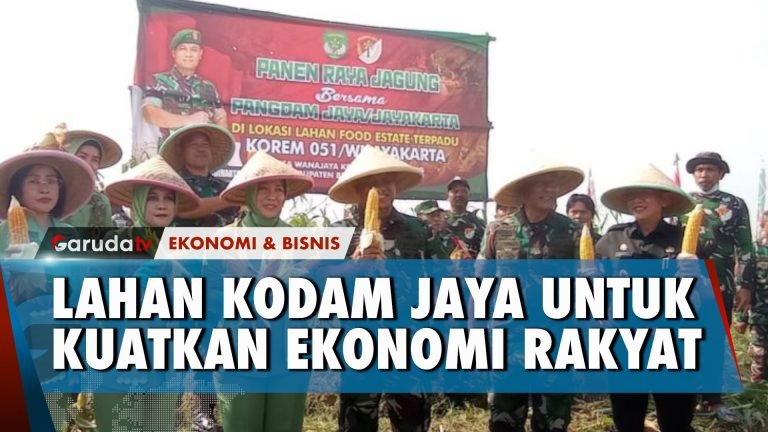 Jaga Ketahanan Pangan, Kodam Jaya Tanami Lahan 378 Ribu Meter dengan Jagung