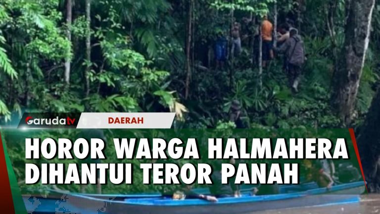 Polda Maluku Utara Buru Pelaku Teror di Hutan Perbatasan Halmahera Tengah