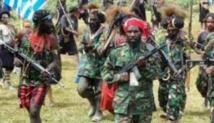 Usai Baku Tembak dan Bakar Kios, Satgas Gabungan Berhasil Ringkus Pentolan KST Papua