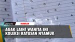 Bukan Barang Mewah, Wanita Ini Pilih Koleksi Ratusan Nyamuk