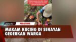 VIRAL! Senayan Dipenuhi Bunga dan Nisan dari Makam Kucing