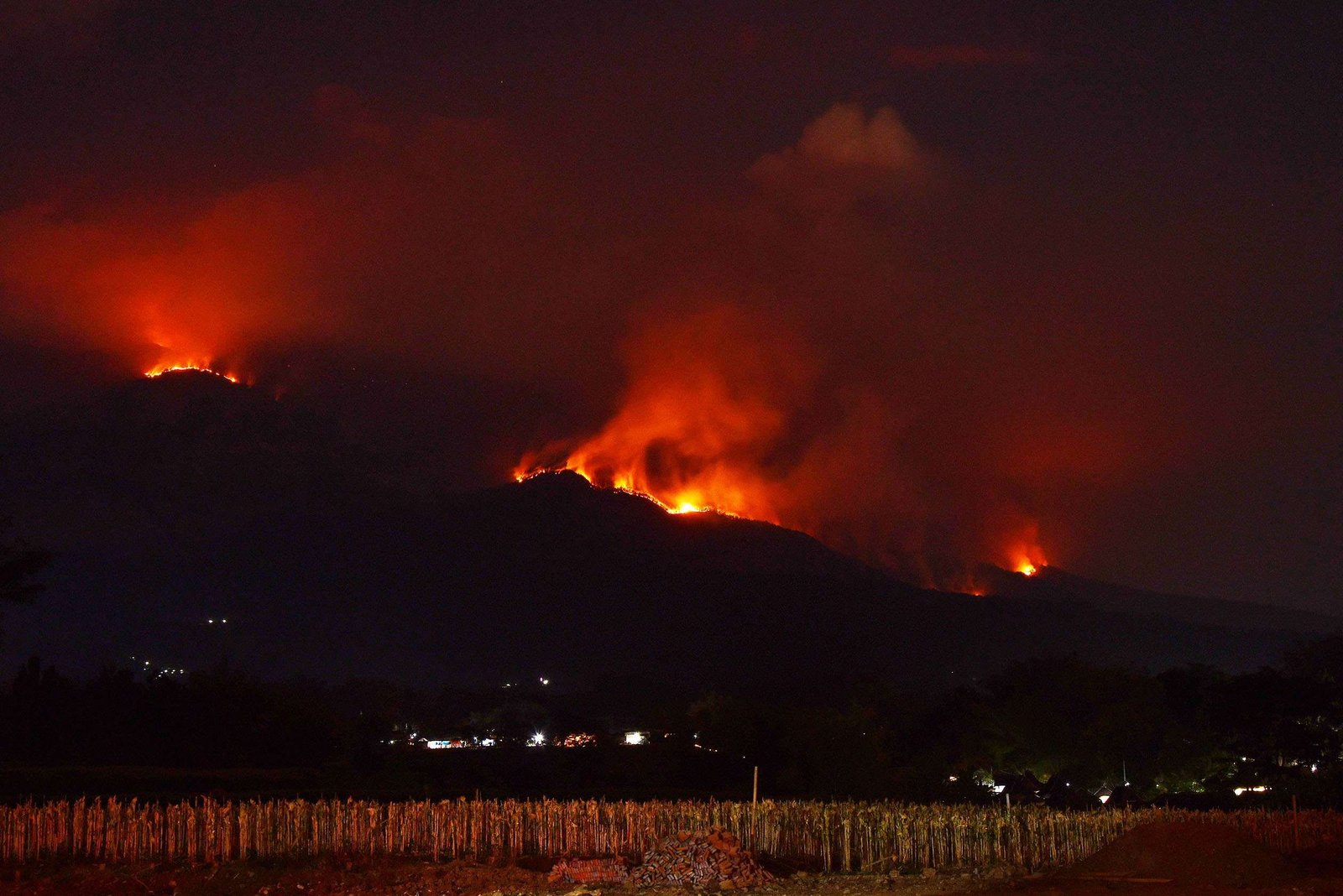 Kebakaran Hutan Gunung Lawu Belum Berhasil Dipadamkan