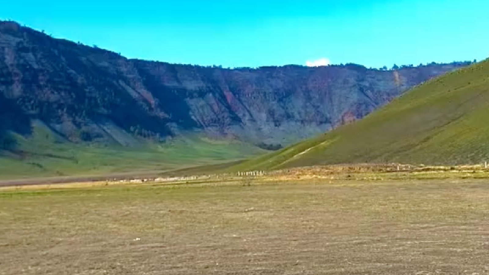 Savana Bromo Menghijau Lagi, Jangan Main Api lagi ya..