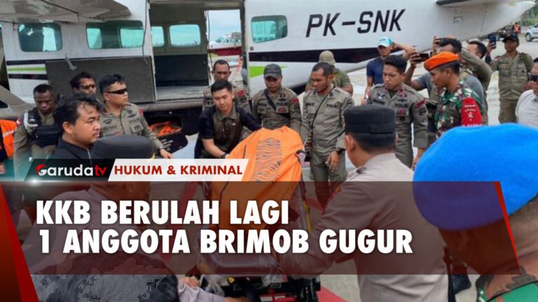 Baku Tembak dengan KKB, 1 Anggota Brimob Gugur di Papua Tengah