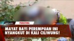 Mayat Bayi Perempuan Tersangkut di Ciliwung Hebohkan Warga Depok