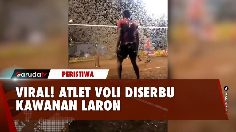 Merinding! Ribuan Laron Serang Atlet Voli saat Sedang Bertanding