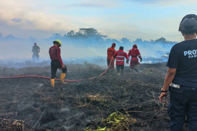 Puluhan Hektar Lahan Kosong di Bengkulu Terbakar