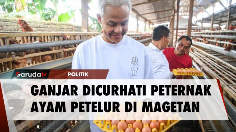 Ganjar Blusukan ke Desa Peternak Ayam Petelur di Magetan