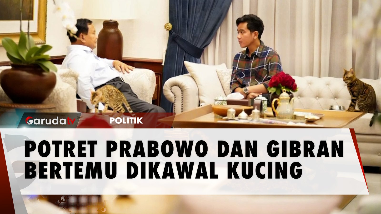 Momen Unik Prabowo Dan Gibran Diskusi Dikawal Dua Ekor Kucing