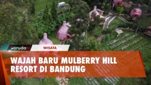 Intip Wajah Baru Symphony of Nature Mulberry Hill Resort Bandung