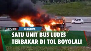 Bus Rosalia Indah Ludes Dilalap Si Jago Merah di Tol Solo - Semarang, Begini Kronologinya..