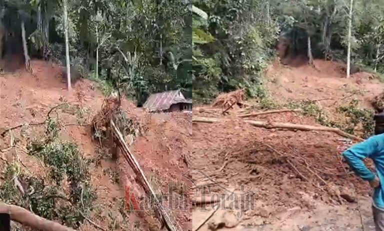 10 Warga Tertimbun Longsor Di Toraja Utara, 8 Ditemukan Selamat dan 2 Korban Masih Hilang