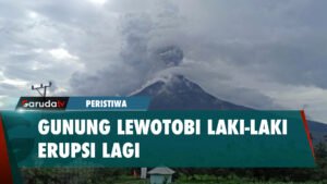 Gunung Lewotobi Laki Laki Kembali Erupsi, Kolom Letusan Capai 900 Meter!