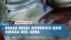 Jelang Hari Raya Idul Adha, Harga Beras di Sidoarjo Alami Kenaikan