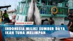 KKP Sebut Produksi Tuna Indonesia Capai 1,49 Juta Ton/Tahun