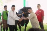 PT Pegadaian Rayakan Idul Adha dengan Menyalurkan 822 Hewan Kurban