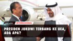 Presiden Jokowi Terbang ke UEA Temui MBZ dan Investor IKN