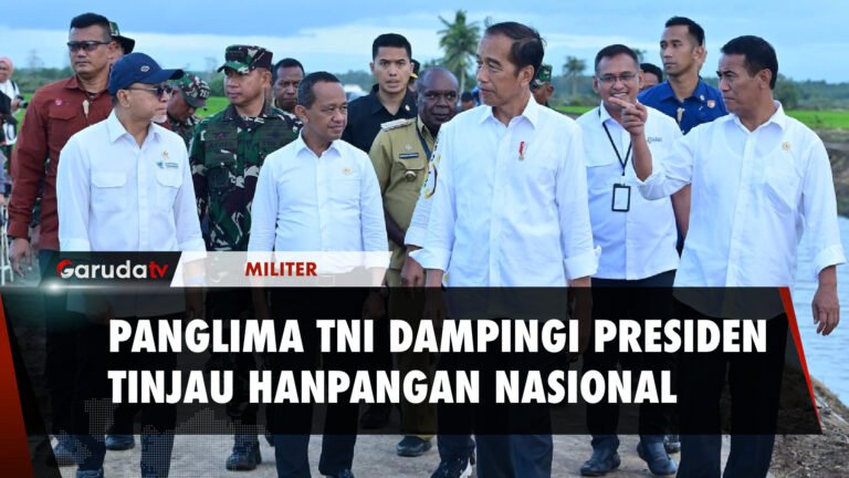 Panglima TNI Dampingi Presiden Jokowi Tinjau Ketahanan Pangan Nasional di Merauke