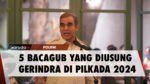 Gerindra Resmi Usung 5 Bacagub ini di Pilkada 2024!