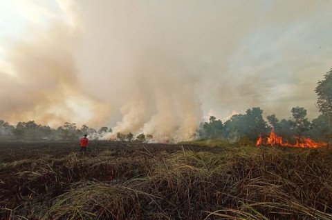 BNPB Peringatkan Potensi Kebakaran Hutan dan Lahan di Tengah Musim Kemarau Panjang