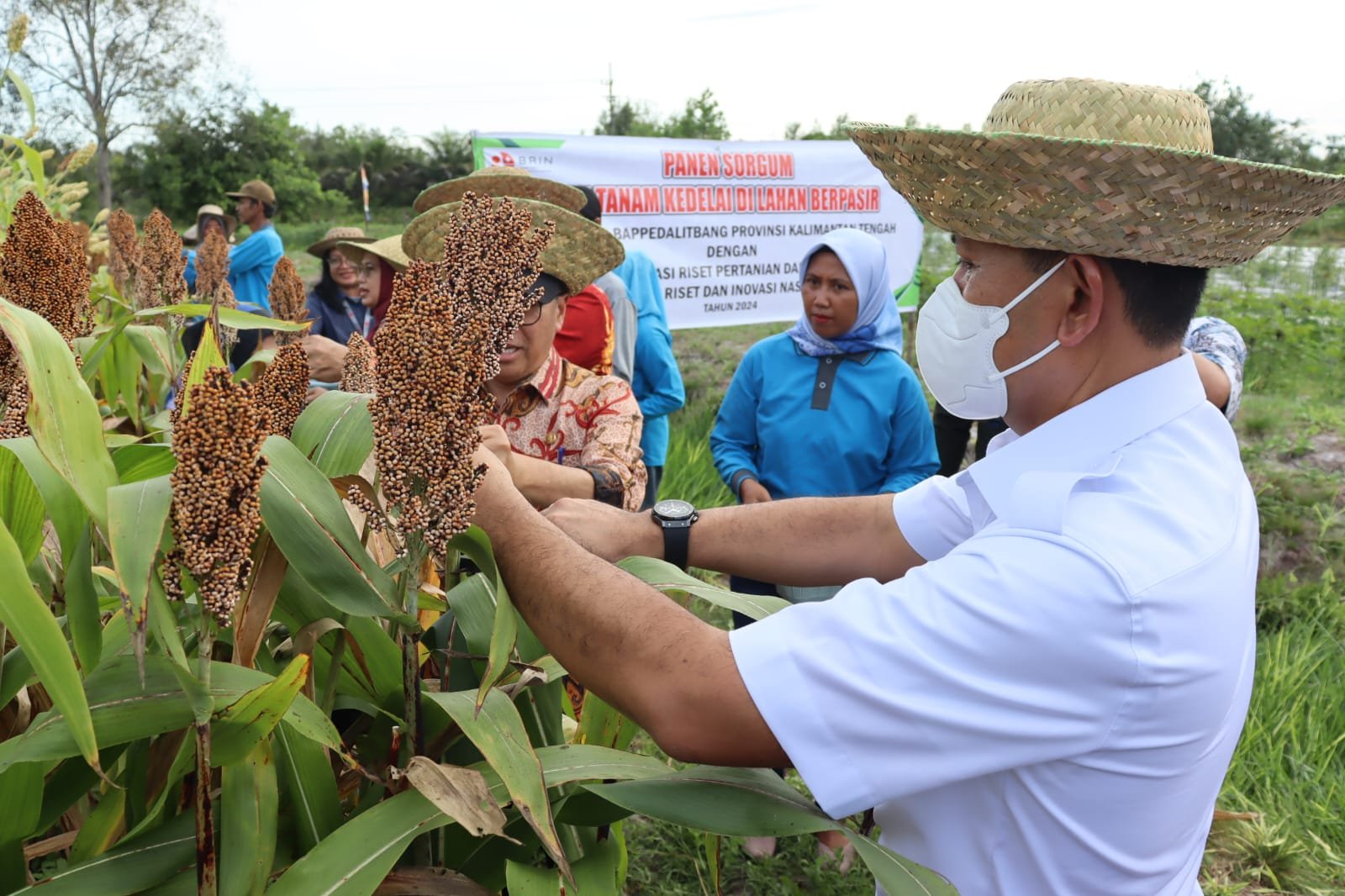 Waka BRIN Amarulla Tinjau Smart Greenhouse, Solusi Pertanian Berkelanjutan Kalteng