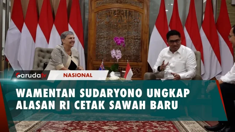 Wamentan Sudaryono Beberkan Alasan RI Harus Cetak Sawah Baru