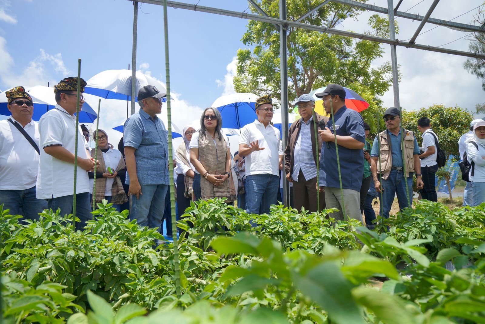 Pupuk Indonesia Ajak Petani Optimalkan Penyerapan Pupuk Bersubsidi Jelang Musim Tanam