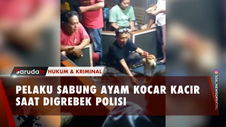 Viral! Detik-Detik Pelaku Sabung Ayam Lari Kocar-Kacir