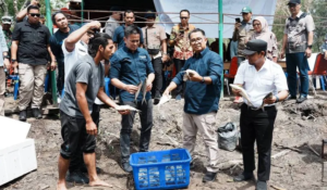 Tambak Ikan di Desa Labangka (Dok. Istimewa)