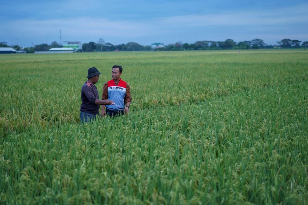 Pertamina Perkuat Transisi Energi Bersih di Ulang Tahun ke-67 dengan Program Desa Energi Berdikari