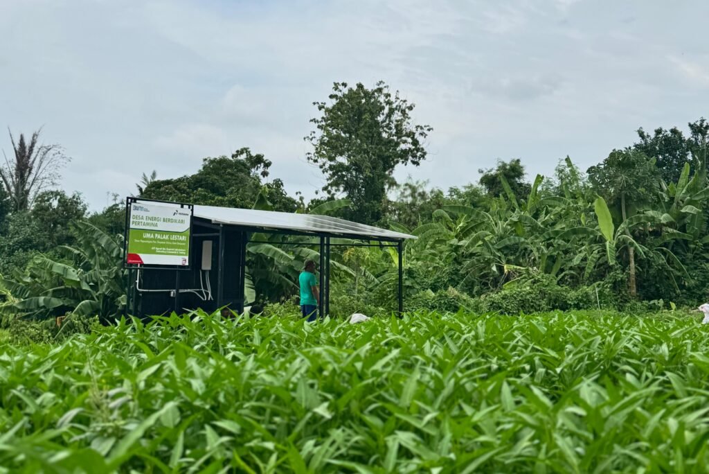 Pertamina Dorong Swasembada Energi dan Ekonomi Berbasis Desa melalui Energi Terbarukan