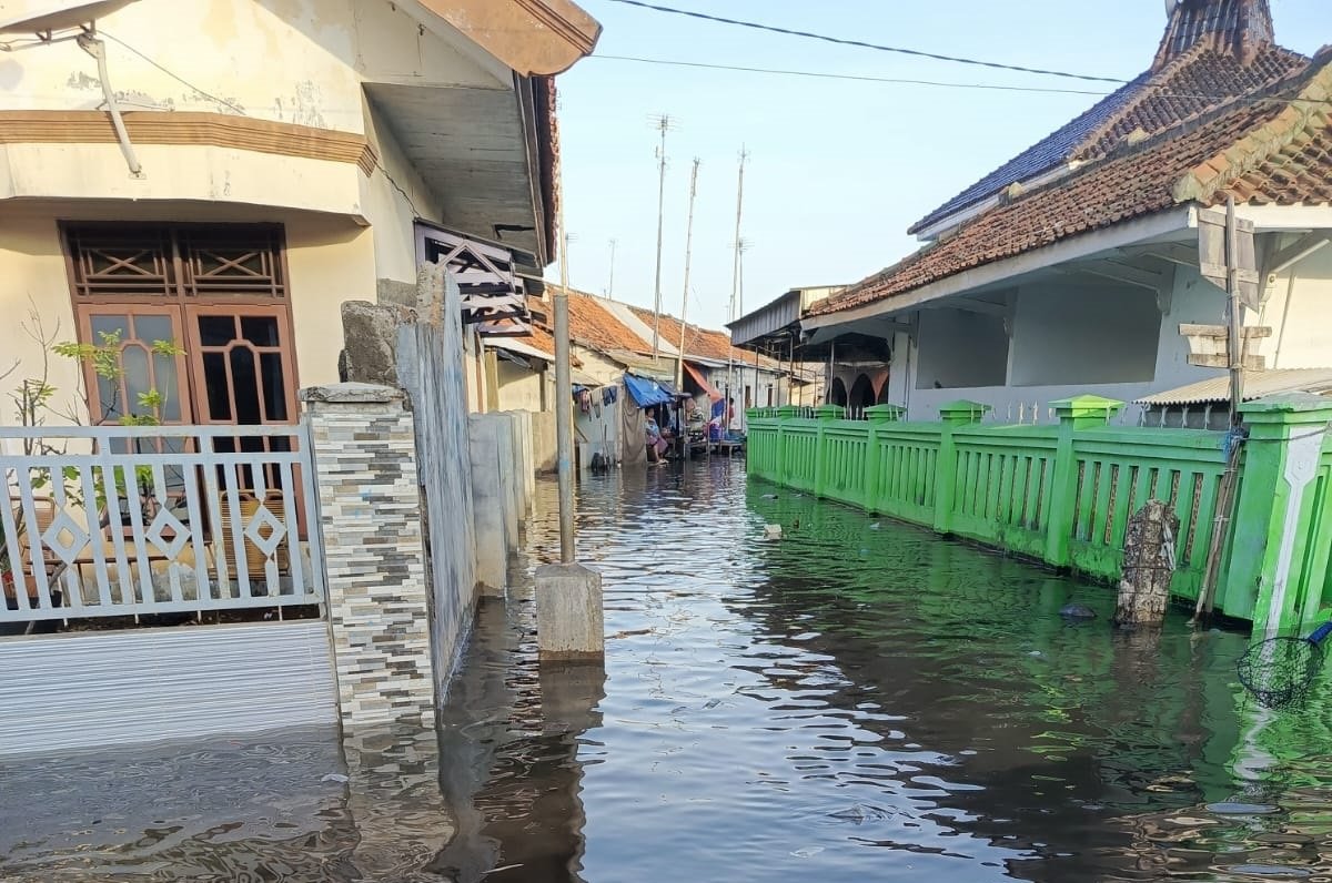 Ribuan Warga Terdampak Banjir Rob yang Menerjang Kabupaten Indramayu