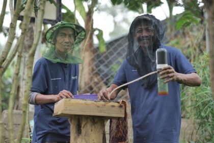 Pertamina Wujudkan Hutan Lestari: Meningkatkan Kesejahteraan dan Ketahanan Pangan Nasional