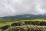Gunung Dempo Pagalaram (ANTARA)