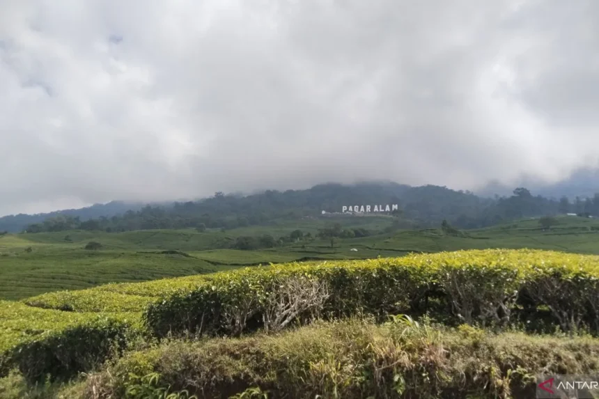 Gunung Dempo Pagalaram (ANTARA)