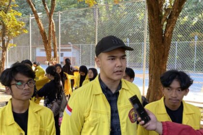 Ketua BEM UI Verrel Uziel (Dok. Istimewa)