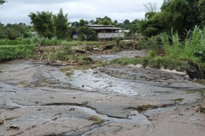 Kondisi salah satu kolam ikan koi di sentra perikanan koi Desa Pranggang (Dok. Farizen Koi Farm Kediri)