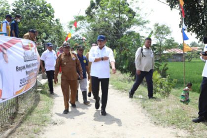 Wamentan Sudaryono di Deli Serdang (Dok. Istimewa)