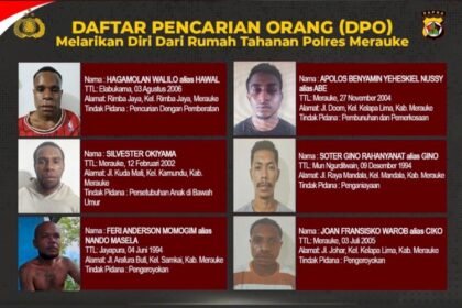 Daftar DPO Tahanan Merauke (Polres Merauke)