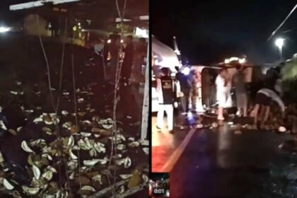 Warga Menjarah Durian dan Uang Rp 1,5 Juta Usai Mobil Pikap Terguling di Lampung