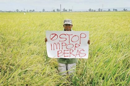 Setop Impor Beras, Kebijakan Pemerintah untuk Sejahterakan Petani Indonesia